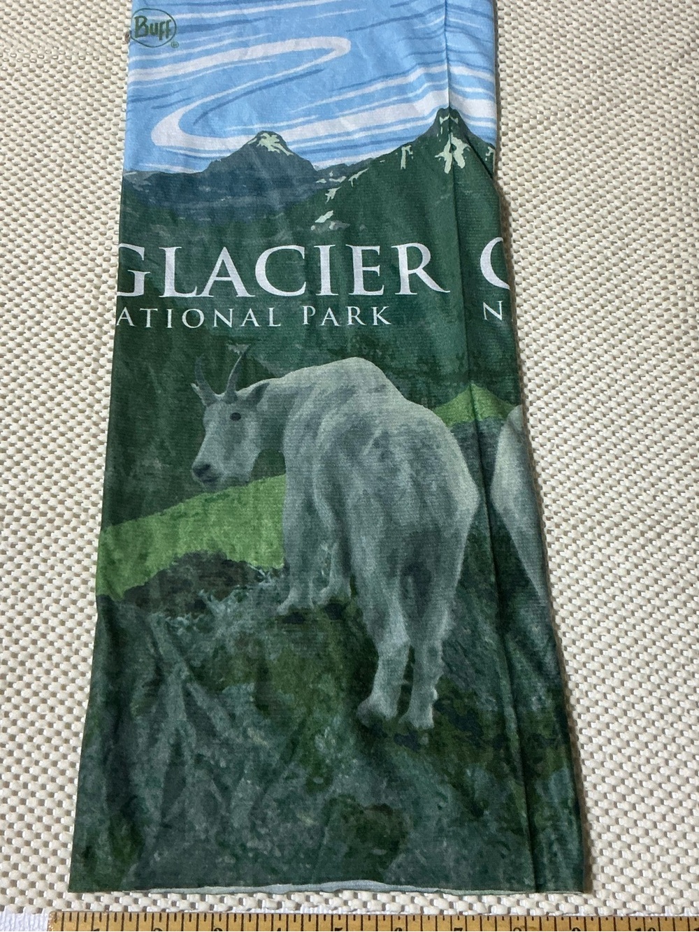 Buff Glacier National Park Scenic Mountain Neck Gaiter - Blue & Green
